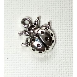 COCCINELLE 2