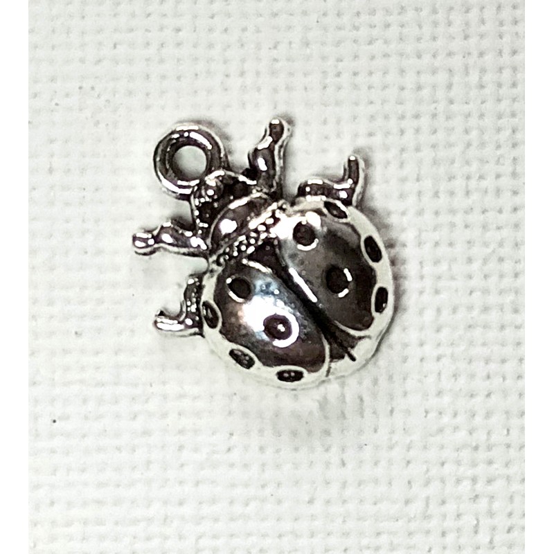 COCCINELLE 2