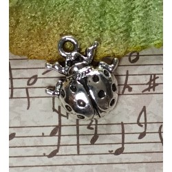 COCCINELLE 2
